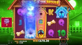 The Big Dog House шторы.jpg
